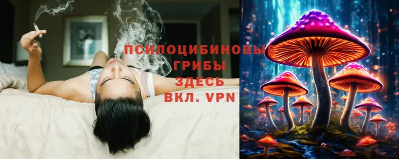 Галлюциногенные грибы Magic Shrooms  Нюрба 